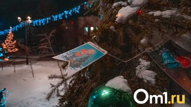 Перед Новым годом Омскую область накроют туман и снегопады