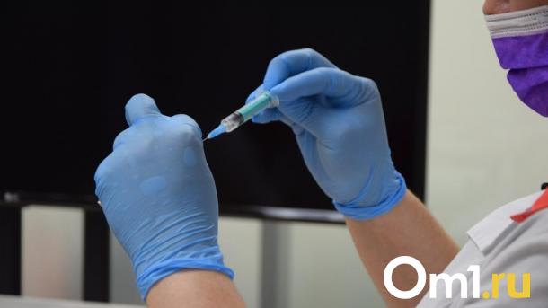 В Омске вирусы гриппа и коронавируса выявили у заболевших ОРВИ