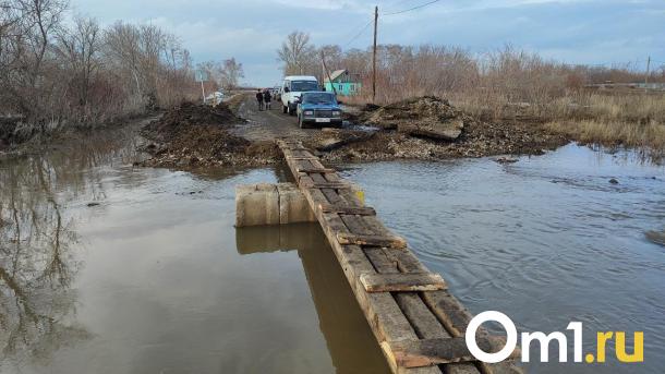 В Омской области без транспортного сообщения остались 35 поселений