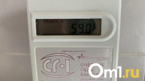 Омичу, который слишком долго не платил за газ, сломали кухню