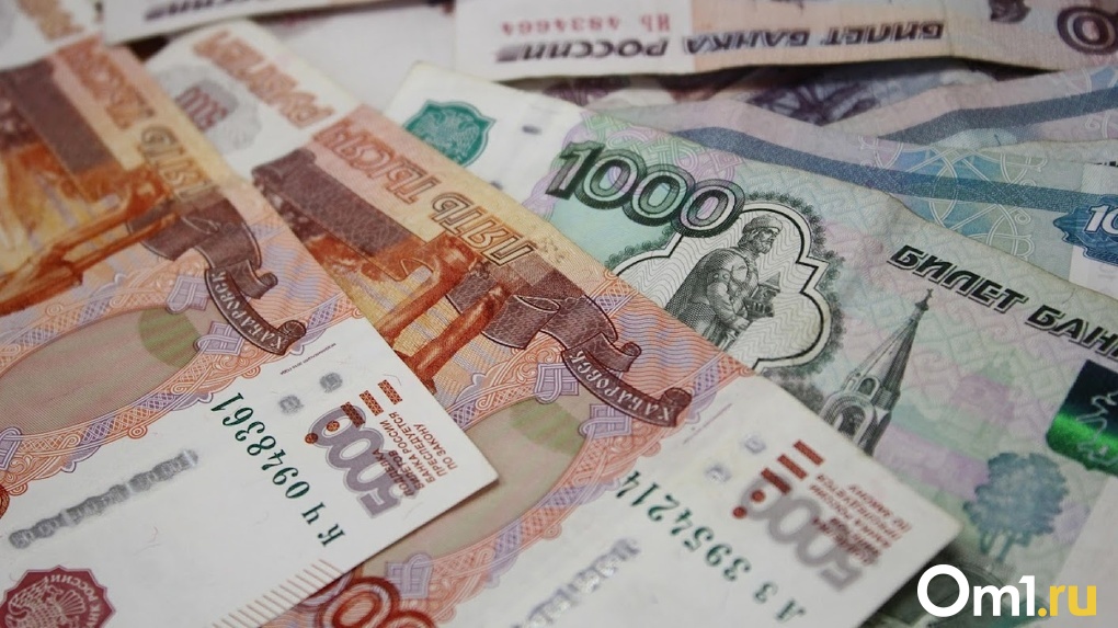 Самый богатый депутат Омского горсовета заработал почти 60 миллионов рублей, самый бедный — 7 тысяч