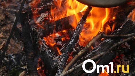 Музей комплекс «Старина Сибирская» из Омской области занял 1 место на всероссийской туристской премии