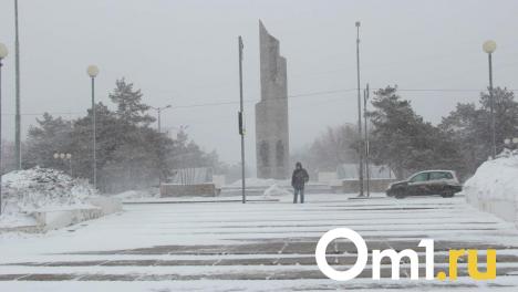 Снегопады и сильный ветер: на Омскую область надвигается снежная буря