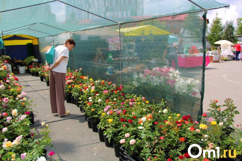 Изображение фоторепортажа