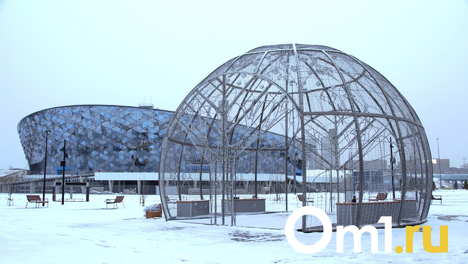 В декабре мероприятия в новом ЛДС в Новосибирске проведут без зрителей