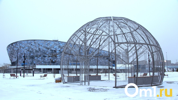 В декабре мероприятия в новом ЛДС в Новосибирске проведут без зрителей