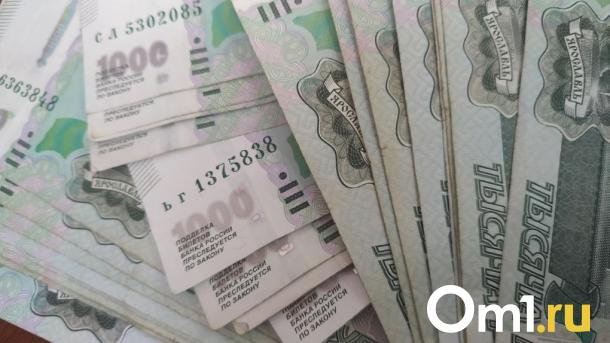 Многодетным семьям Новосибирской области частично компенсируют траты на обучение