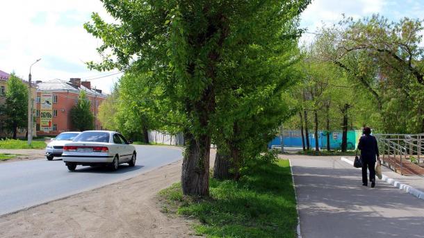 Почему в Новосибирске вырубают липы на Орджоникидзе? Власти раскрыли причины