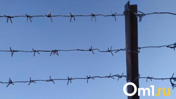 Грозит 10 лет тюрьмы: супружеская ссора в Омске переросла в поножовщину