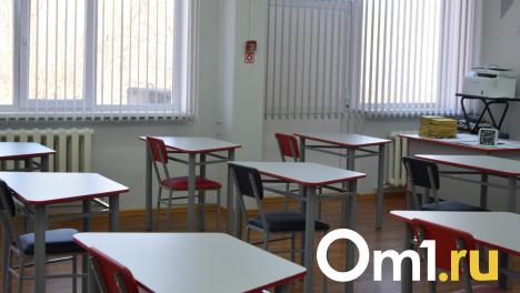 В Новосибирске толпа подростков жестоко избила семиклассника