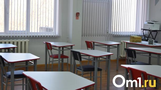 В Новосибирске толпа подростков жестоко избила семиклассника