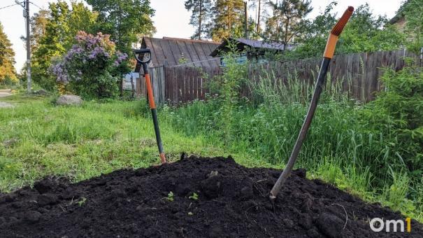 Ветеранам СВО из Омска будут бесплатно давать земельные участки