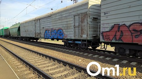 В Омске поезд насмерть сбил человека