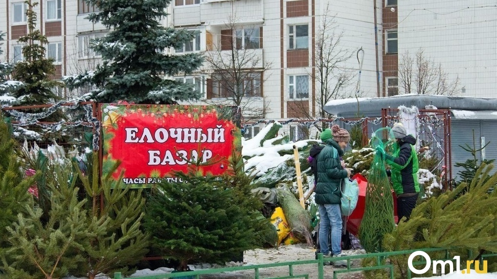 Ёлочные базары в Новосибирске: адреса, когда начнут работать