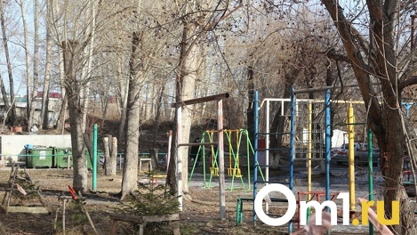 Целился в голову: стали известны подробности стрельбы на детской площадке в Омске