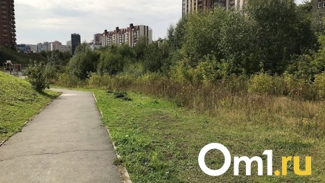 Активное участие новосибирцев в выборе объектов благоустройства привлечёт дополнительное финансирование