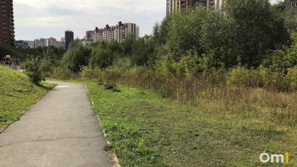 Активное участие новосибирцев в выборе объектов благоустройства привлечёт дополнительное финансирование