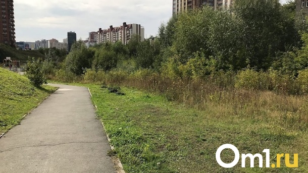 Активное участие новосибирцев в выборе объектов благоустройства привлечёт дополнительное финансирование