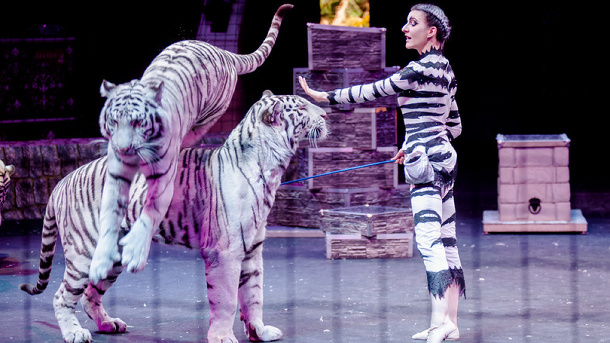 Алиса Нестерова: «Мы себя не называем дрессировщиками, мы тренеры белых тигров»