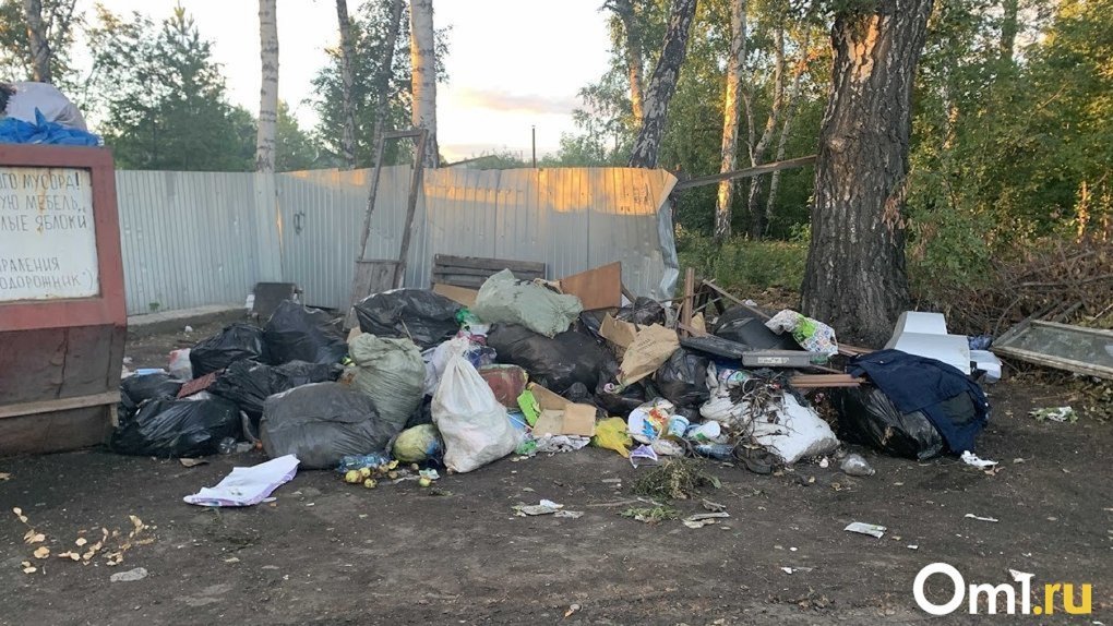Прокуратура потребовала убрать свалку возле кладбища в омской деревне