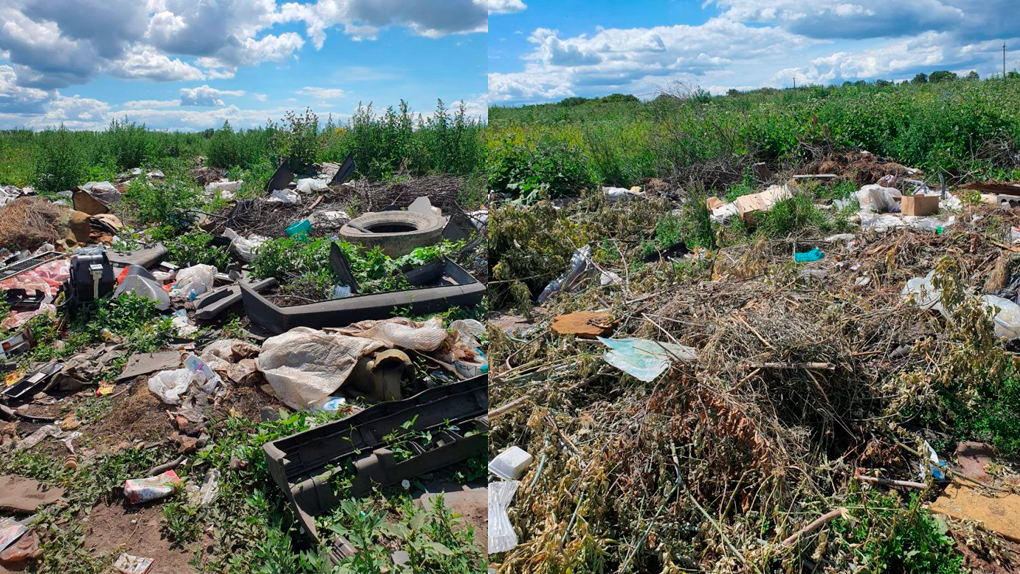 15 несанкционированных крупных свалок обнаружили в Новосибирской области