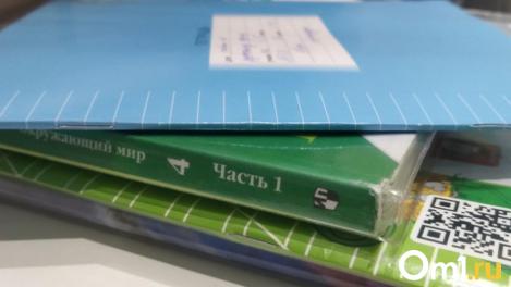 Учиться дома? Размышление омички об образовании