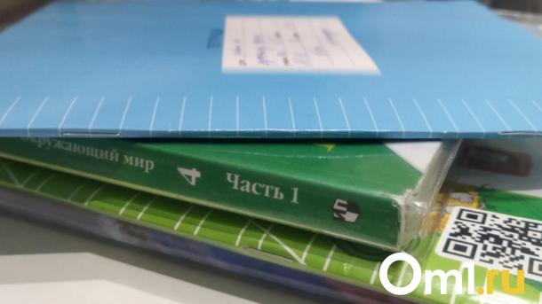 Учиться дома? Размышление омички об образовании