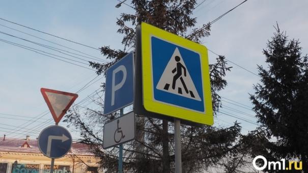 Получила сотрясение мозга: дорожный знак упал на голову жительнице Новосибирска