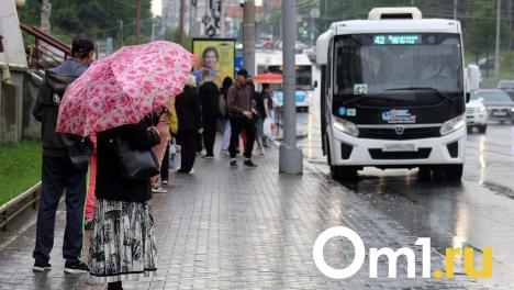 Стало известно, когда в Омской области закончатся бесконечные дожди
