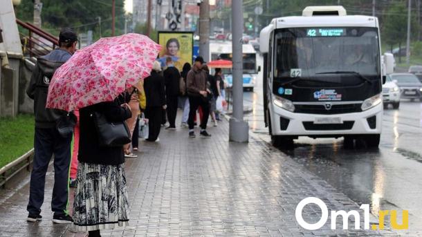 Стало известно, когда в Омской области закончатся бесконечные дожди