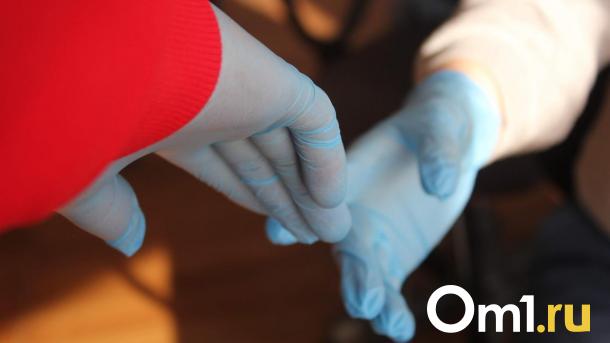 Специалисты рассказали, доберётся ли оспа обезьян до Омска