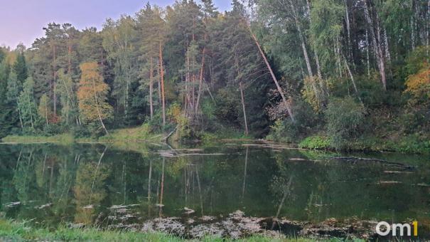 В котловане под Новосибирском утонула 12-летняя школьница