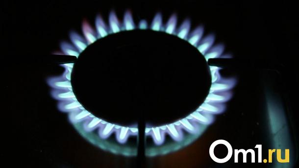 Газовое месторождение в Омской области готовят к пятигодичной консервации