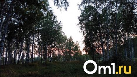 В мае в Омской области пропал 131 человек