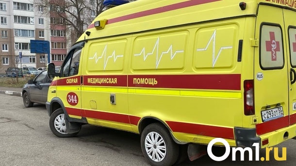 Под Омском водитель КамАЗ наехал на ребёнка