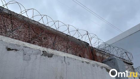 Альтернатива преступному образу жизни. Почему в России взят курс на гуманизацию уголовной системы?