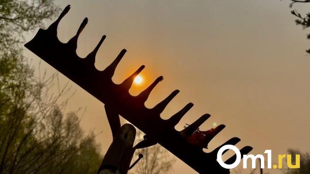 В Омске продают двухэтажную дачу за 200 тысяч рублей. Но есть нюанс