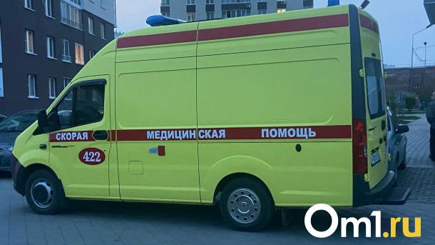 На важном левобережном перекрёстке сбили семилетнего мальчика