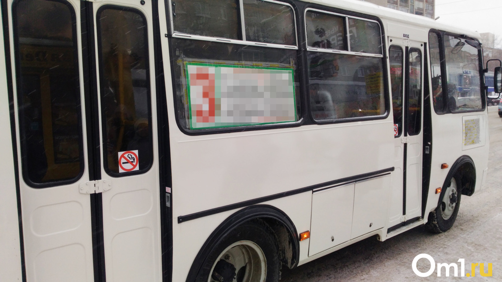 В Новосибирске девушку-инвалида кондуктор выгнала из автобуса из-за бумажного проездного