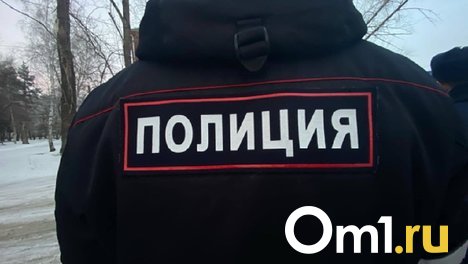 В Омске двое бездомных украли у водителя колёса