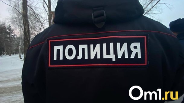 В Омске двое бездомных украли у водителя колёса