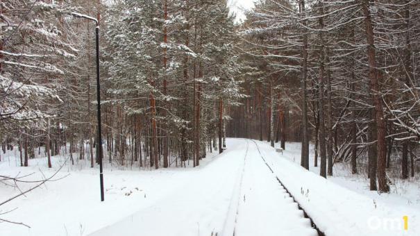 На севере Омской области волки начали подходить к деревням