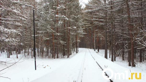 На севере Омской области волки начали подходить к деревням