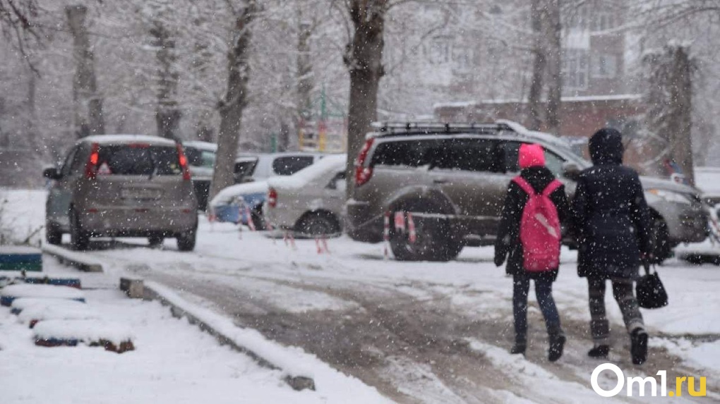 В Новосибирске ударят морозы до -43 градусов: детям разрешили не ходить в школу
