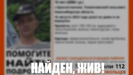 В Новосибирской области завершили поиски зеленоглазого 15-летнего подростка в синей футболке