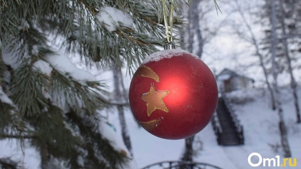 Сильные морозы придут в Новосибирск на Новый год
