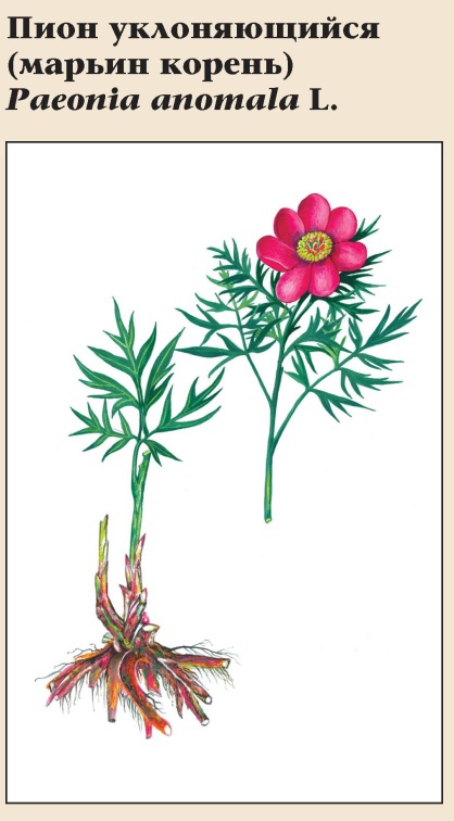 Изображение фоторепортажа