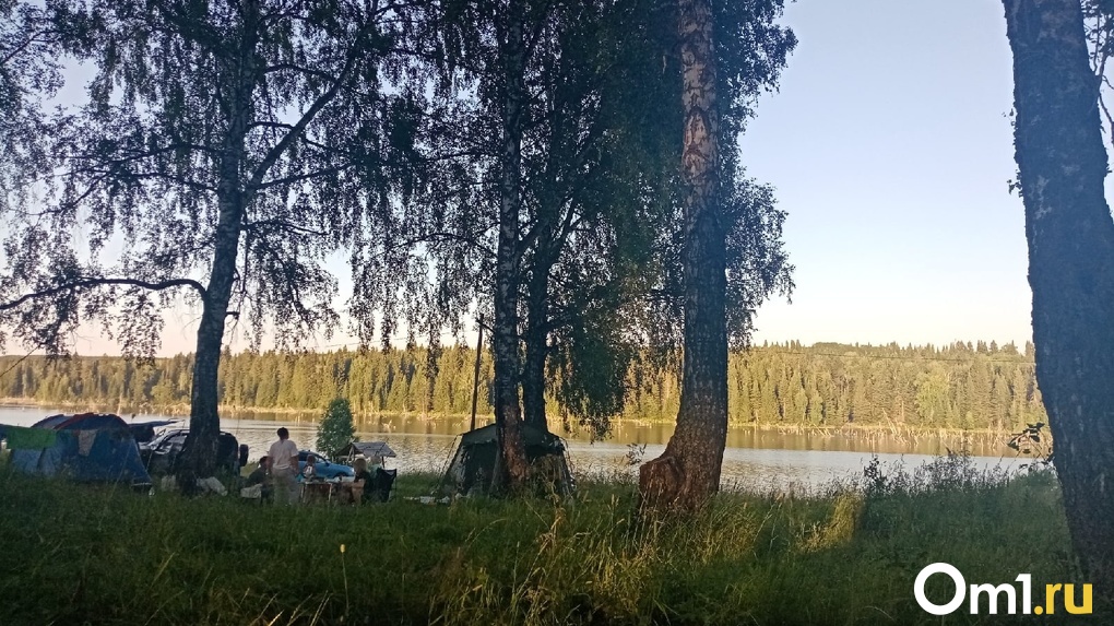 На озере Данилово отдыхающие жестоко избили 9-летнего мальчика, который не позволил им рубить деревья