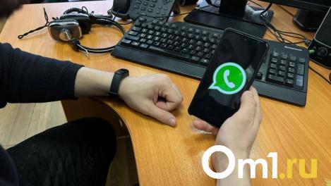 Школы штрафуют на 700 тысяч рублей за использование WhatsApp* в Новосибирске