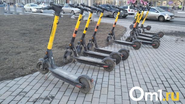 Мэрия запустила масштабный опрос на тему самокатов